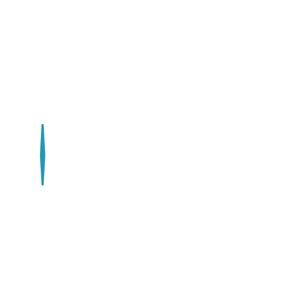 logo_openport_negativo
